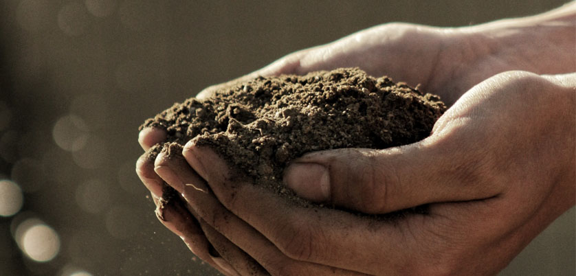 G8全自動(dòng)石墨消解儀對(duì)土壤中Cd、Cr、Cu、Pb、Ni、Zn金屬消解方案