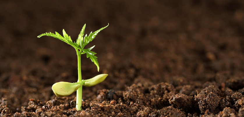 G8全自動(dòng)石墨消解儀對土壤中汞、砷測定的消解案例