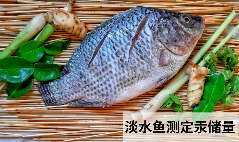智能石墨消解儀前處理消解淡水魚(yú)測(cè)定汞儲(chǔ)量 智能石墨消解儀前處理消解淡水魚(yú)測(cè)定汞儲(chǔ)量